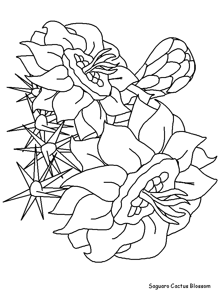 Plansa de colorat cu Cactus 33 27